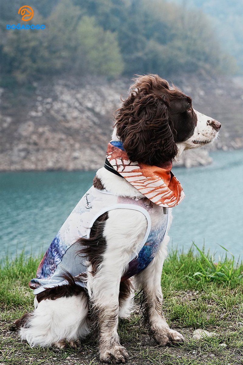 dogadogo2023's tweet image. A little artist by the lake. 🎨🐾

Wearing the DGDG Artist Series — “Volcano &amp;amp; Sea”,
this pup turned a quiet lakeside walk into a cinematic moment.

Nature becomes the canvas.
And every step becomes art.

#DGDG
#DOGADOGO
#ArtistSeries
#DogFashion
#DogPhotography