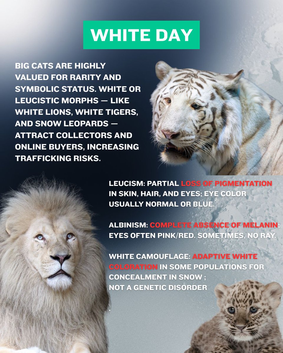 OURANOS Project tweet media