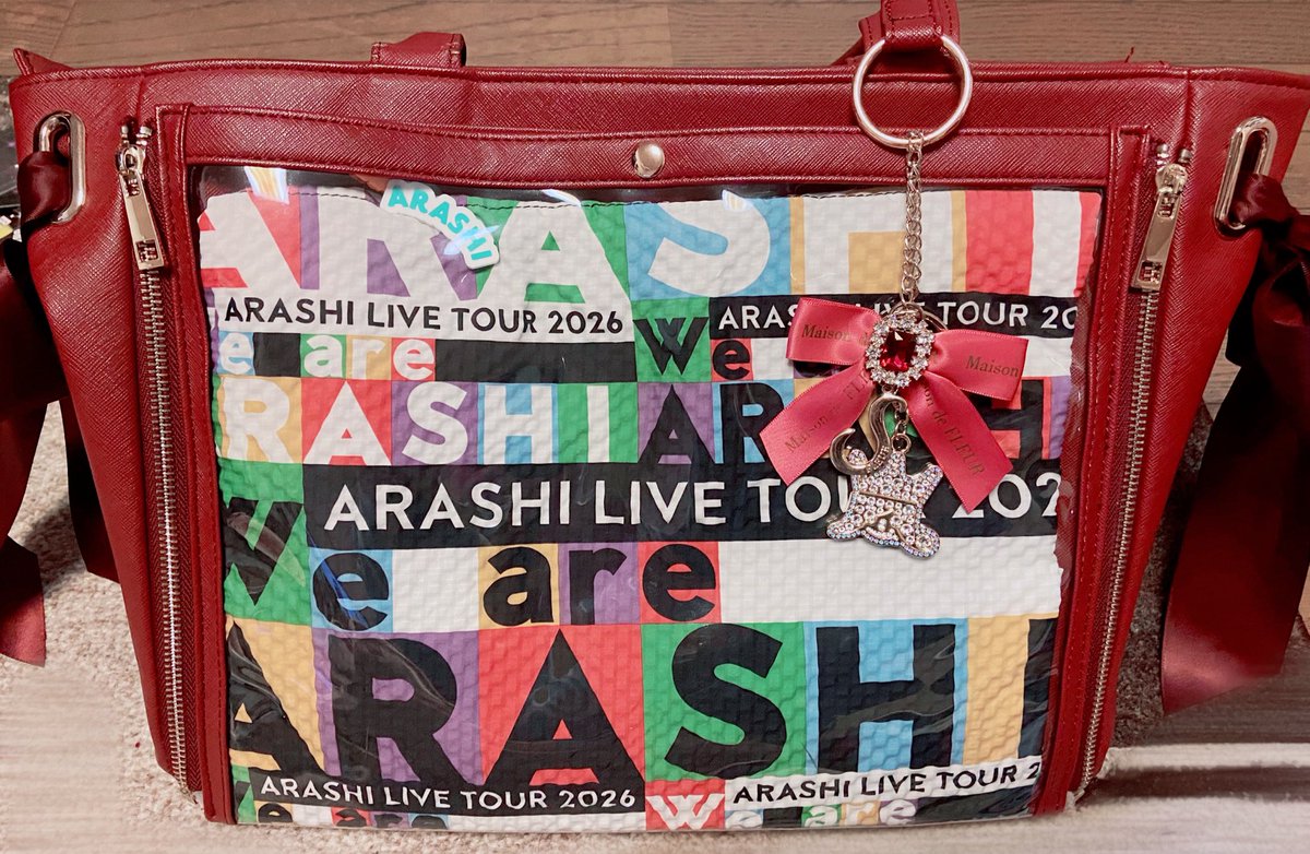 嵐のショッピングバッグがちょと 薄かったのでいつもうしさせで使っ