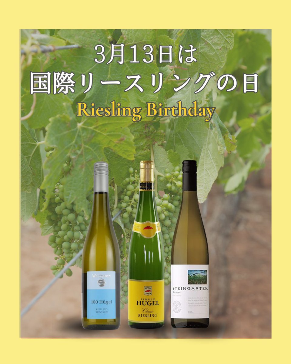 zukai_YAS's tweet photo. 3月13日は「国際リースリングの日」
だそうです。

1435年3月13日に、リースリングが初めて文書に
登場したことを記念した日だそうです。

私のお気に入りのワインのひとつは、
フランス・アルザスのリースリング。

あなたが好きなワインは何ですか？ https://t.co/NKLUhxUz0n