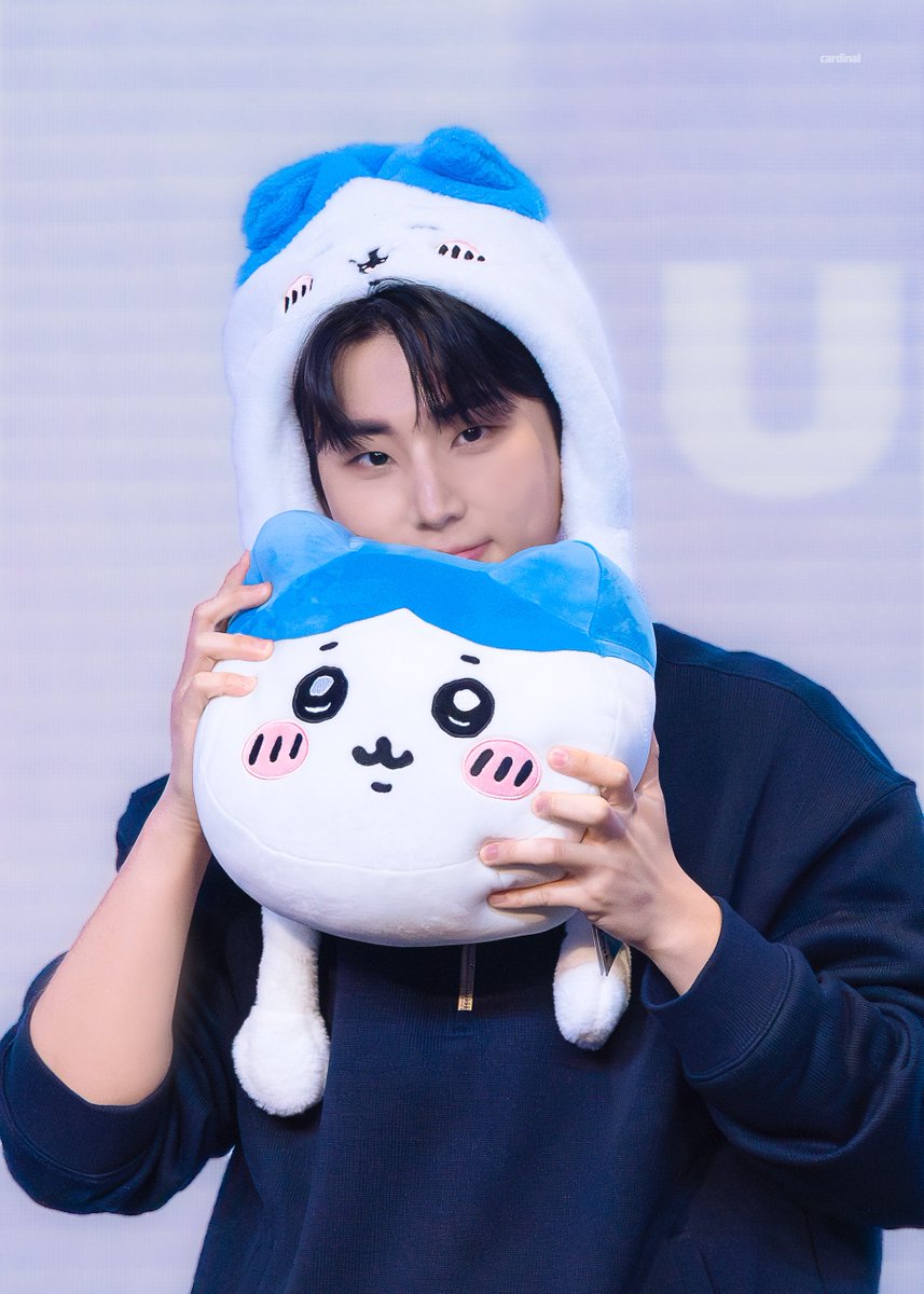 cardinal. tweet media