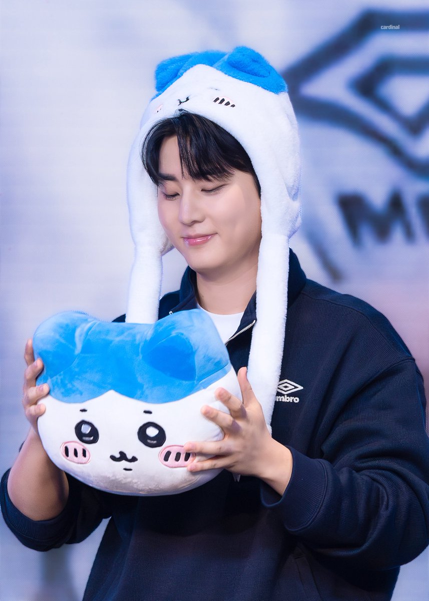 cardinal. tweet media