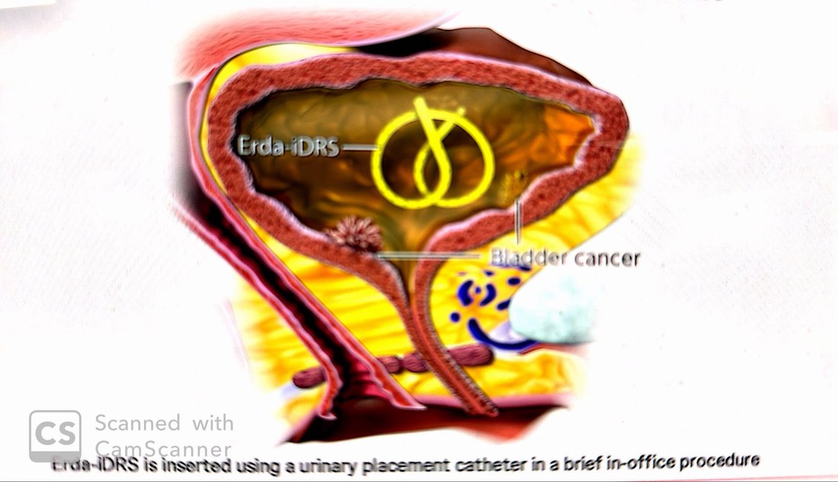 Sia Daneshmand, M.D. tweet media