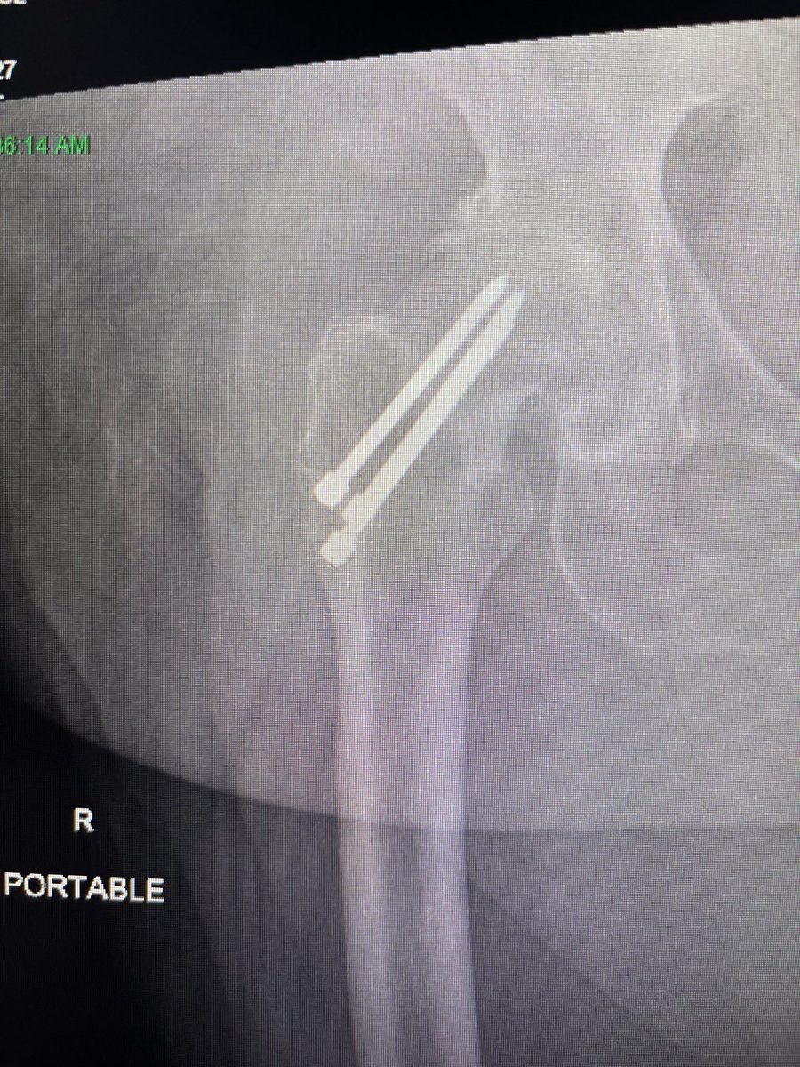 Mo Hasegawa (もも) tweet media