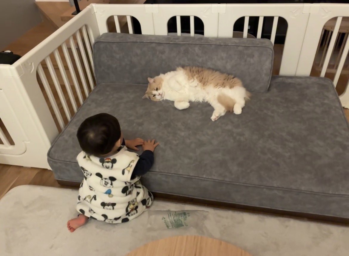 グリとグラとジル🐾 tweet media