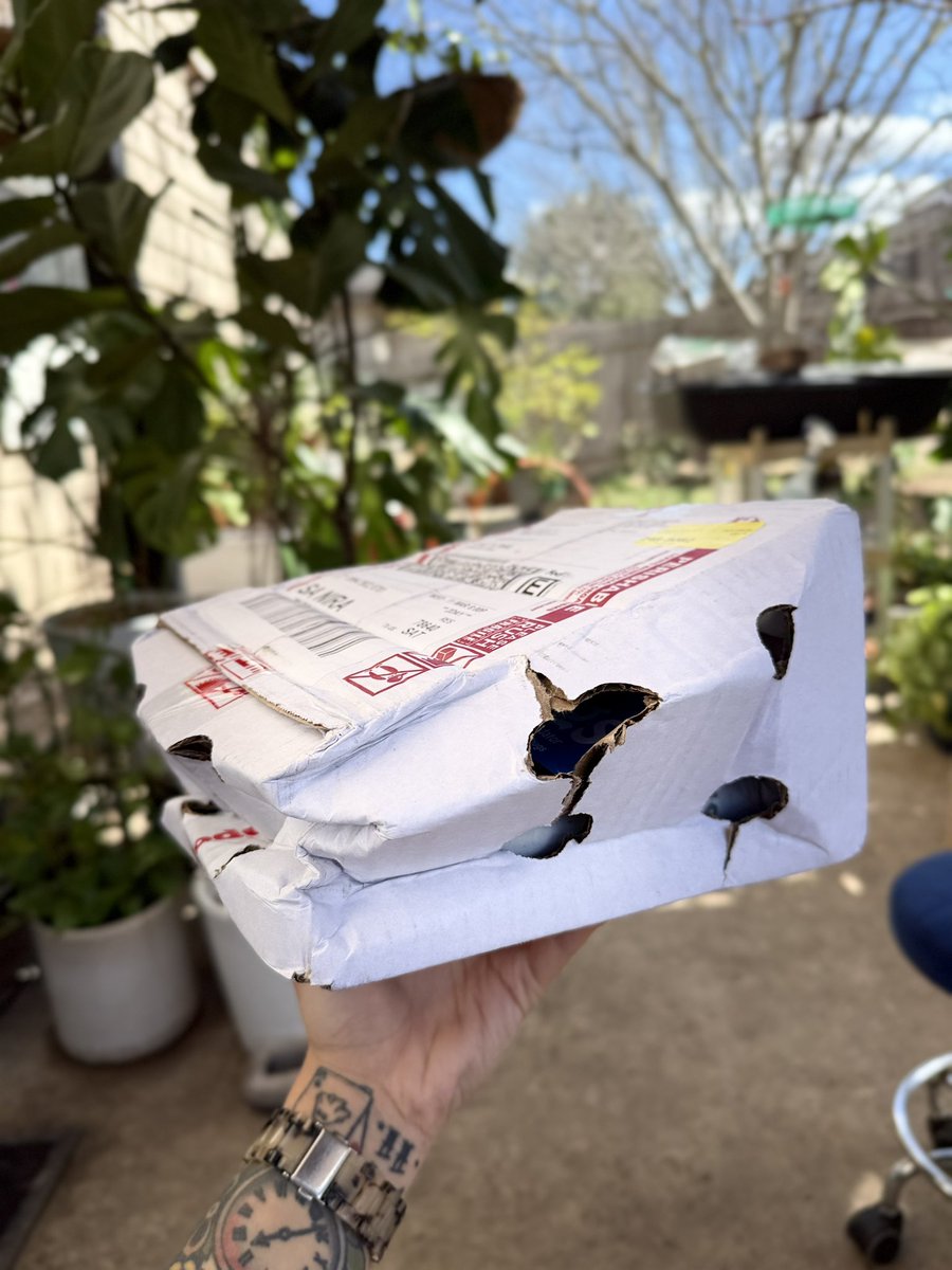 OxygenAndSmoke's tweet photo. Ordered thousands of lady bugs and they came in like 🐞 https://t.co/JoLw0R3Bx4