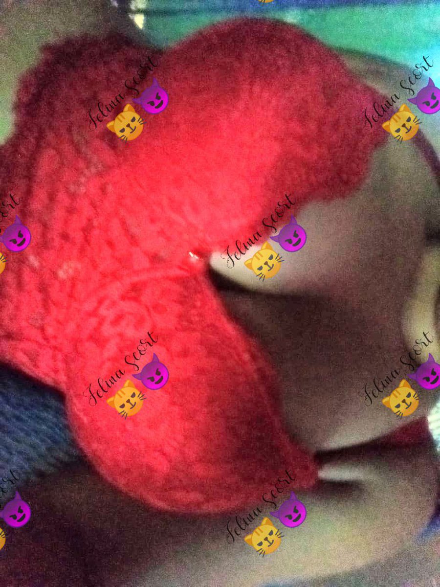 Culitos de calidad tweet media