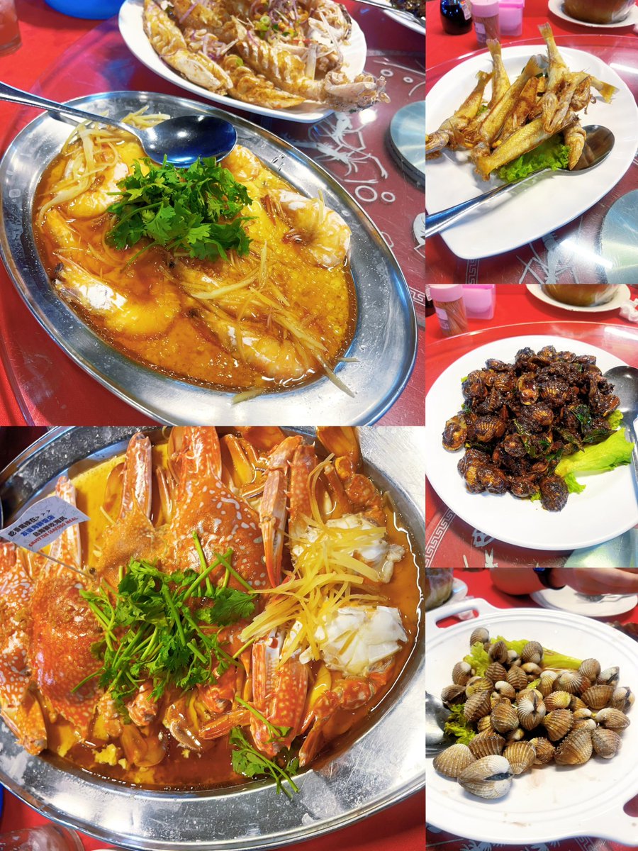 Kitty mk tweet media