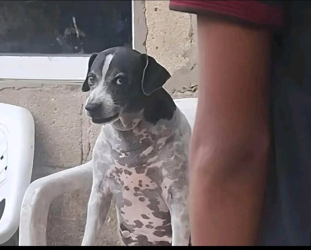 Wayne Gakuo tweet media