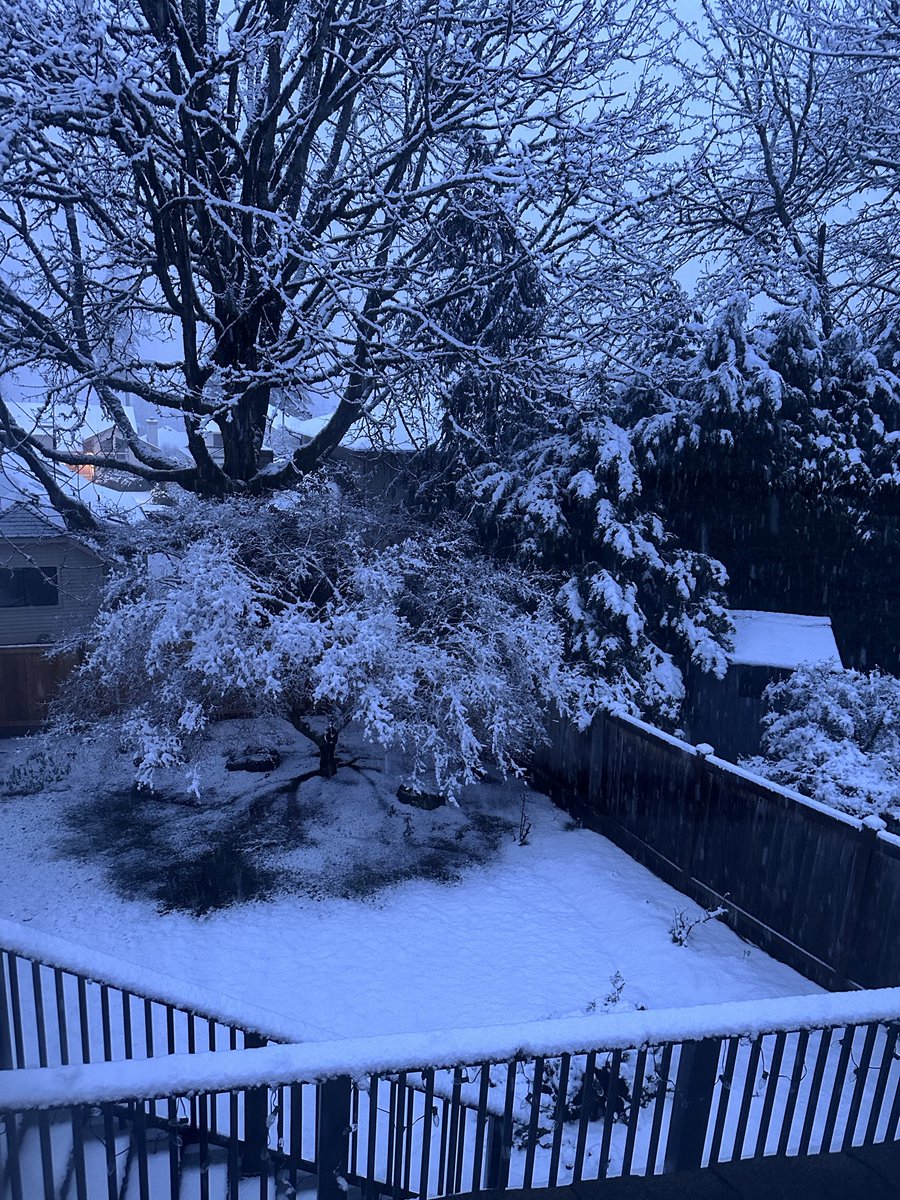 PinkFlamingo99's tweet photo. Spring snow! South Bellevue. @NWSSeattle @KSeattleWeather https://t.co/Mv72p05Y4R