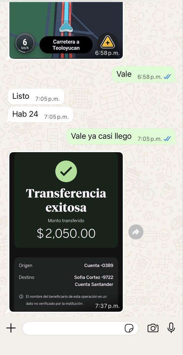 Sofialeeen tweet media