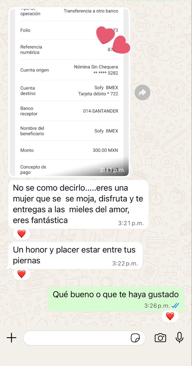 Sofialeeen tweet media