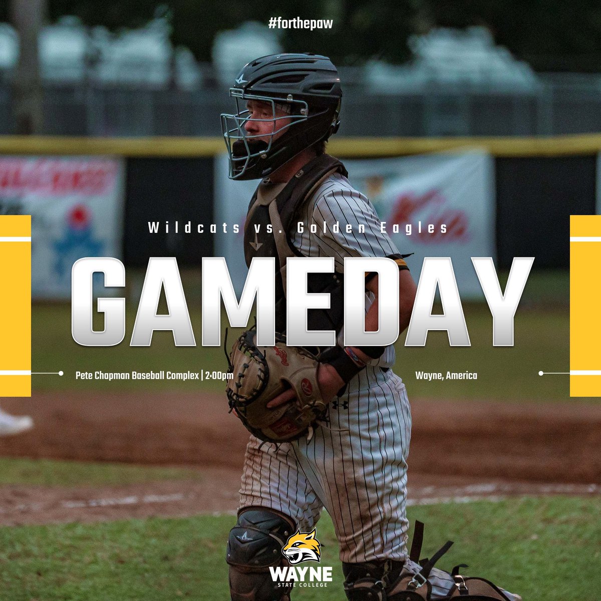 Wayne State Baseball tweet media