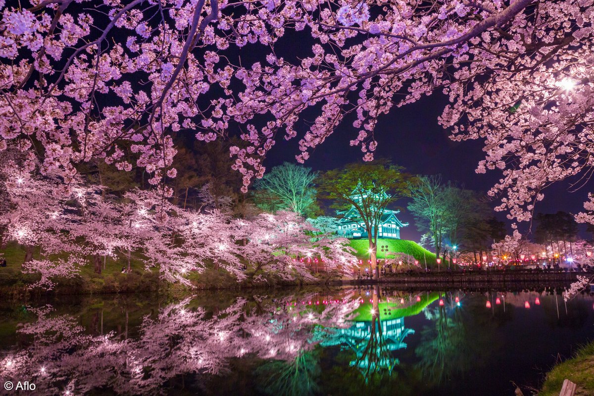 AmbJaponFR's tweet image. 🌸La saison des cerisiers en fleurs approche au #Japon 🗾!

✨Si vous avez la chance d’être au Japon à cette période, consultez les prévisions des #sakura pour planifier vos plus beaux moments de #hanami 🇯🇵👇

➕japan.travel/fr/see-and-do/…