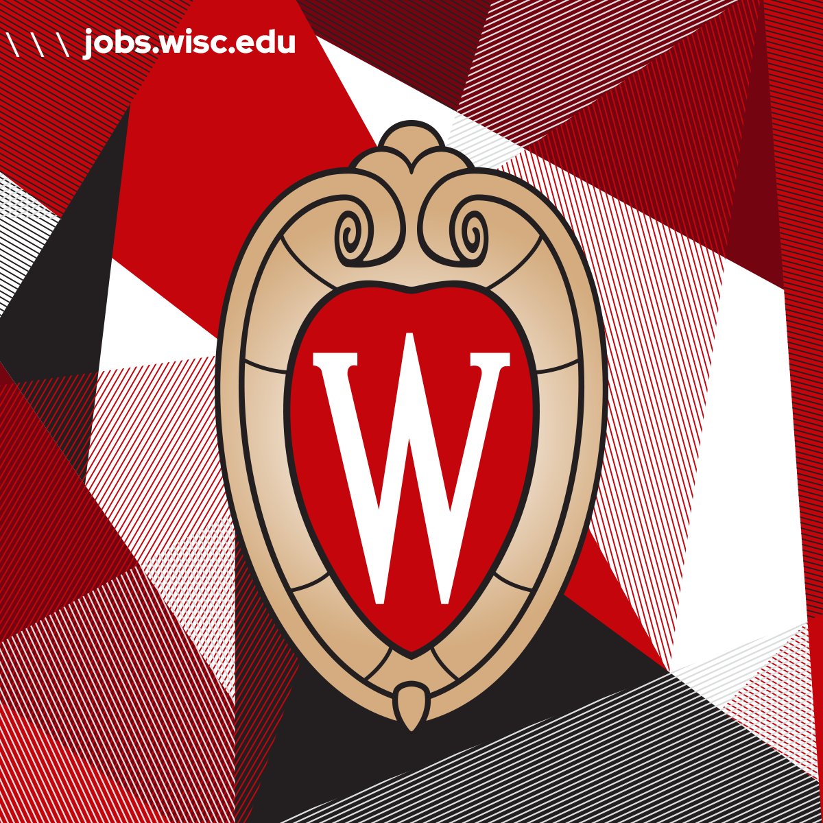 Jobs at UW tweet media
