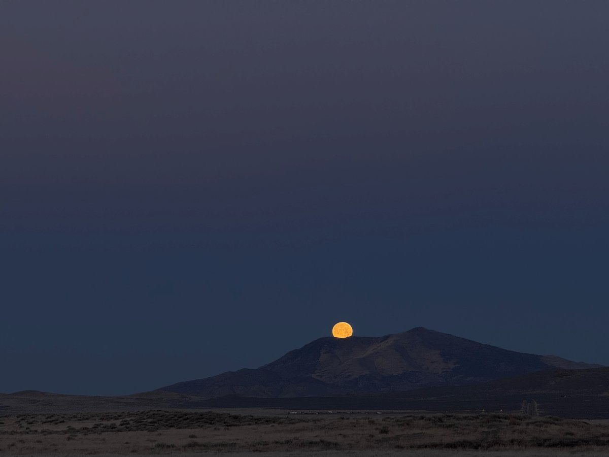 Diane Garrett tweet media