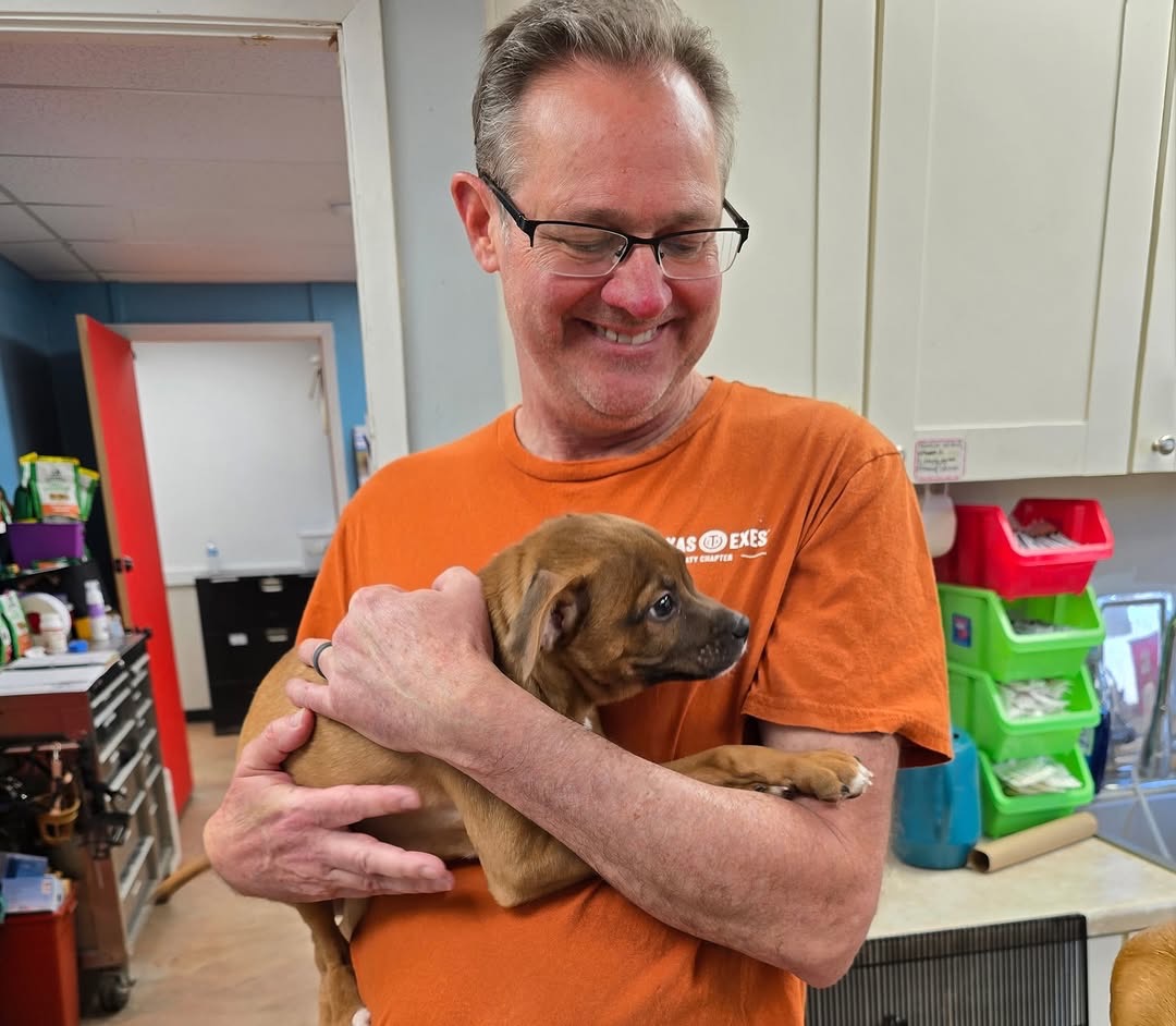 Texas Exes tweet media