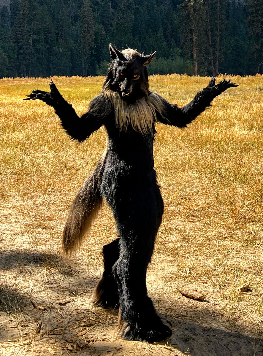 Shaqualhound tweet media