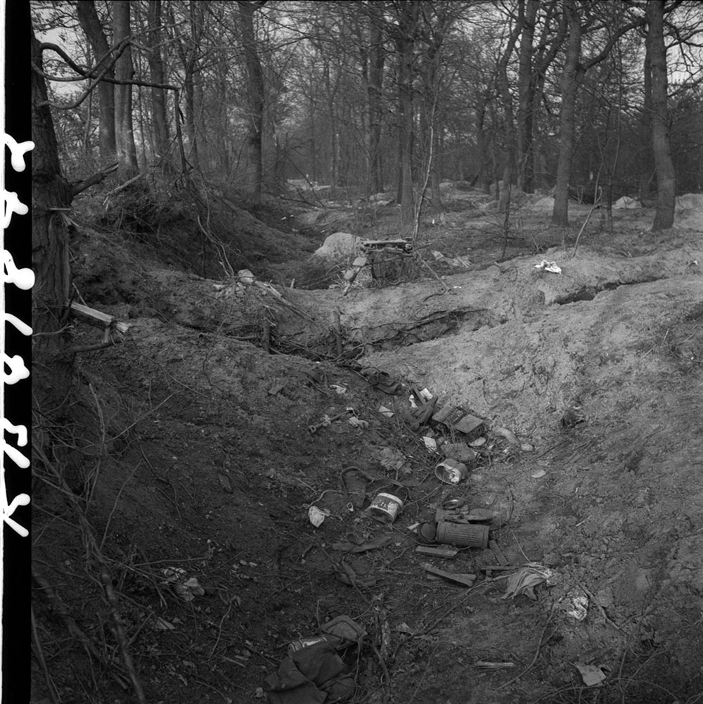 Project '44 tweet media