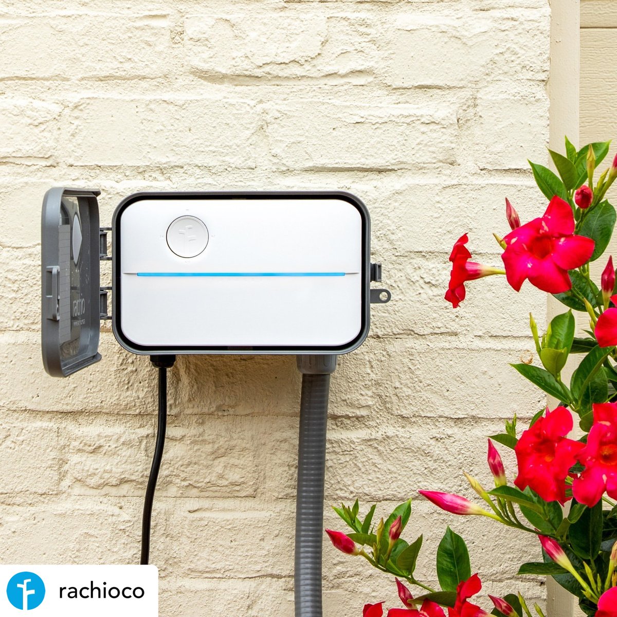 Heinen Landscape KC tweet media