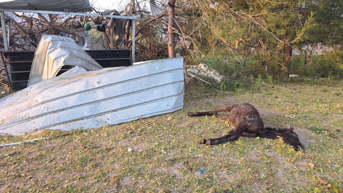 Open Source Intel tweet media