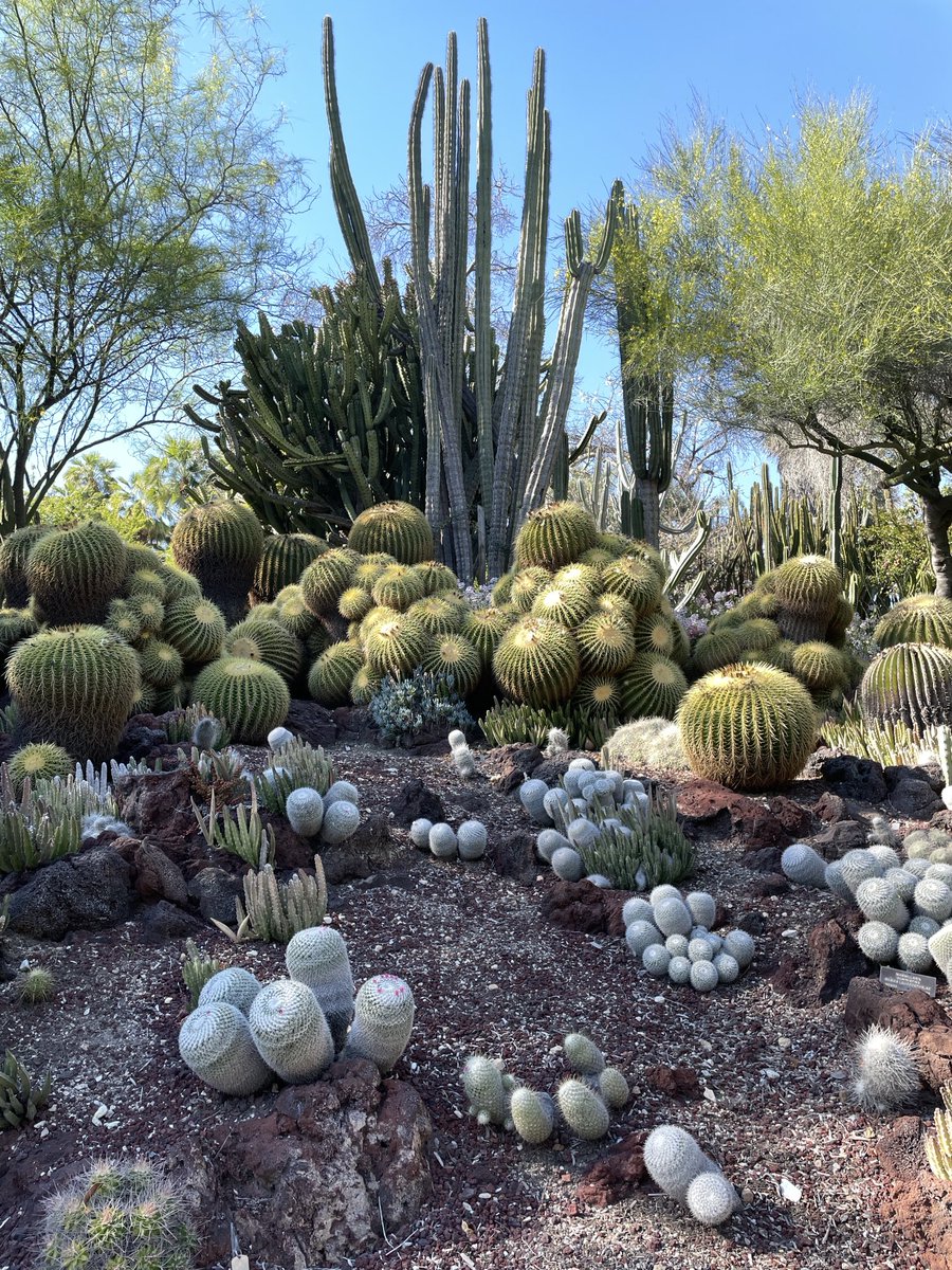 Andrea Wulf tweet media