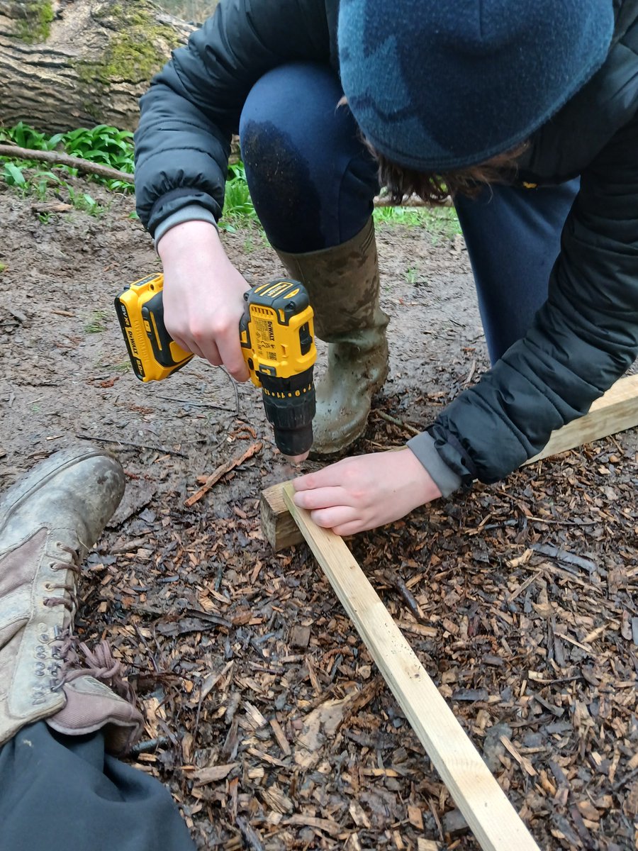 ACE Forest School tweet media