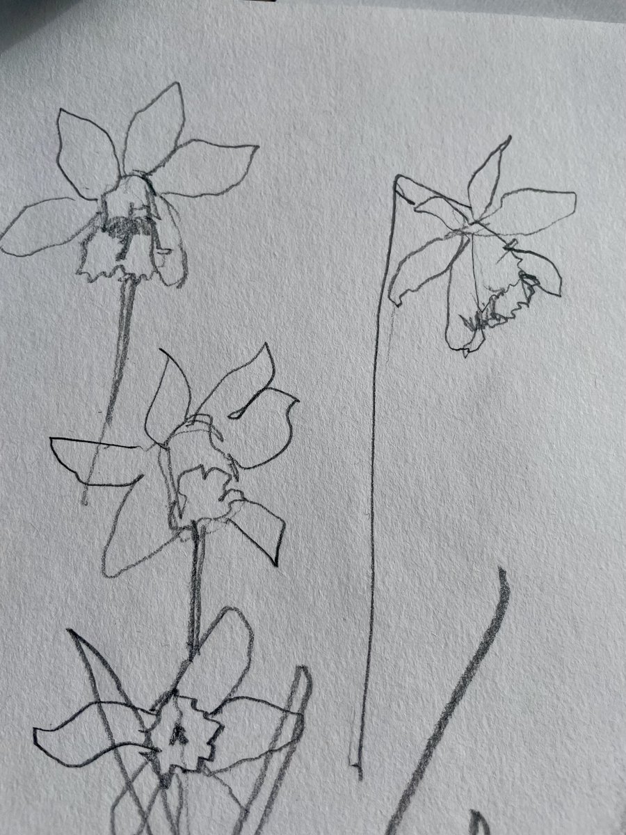 Brigit Strawbridge tweet media