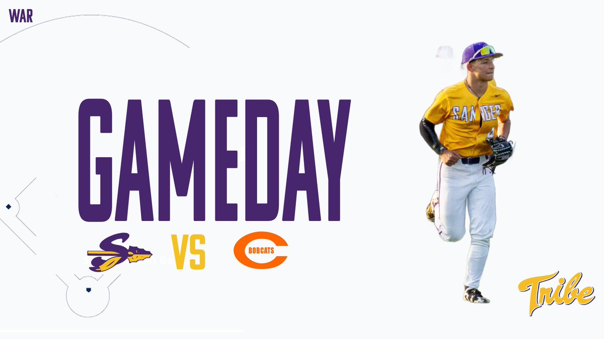 Sanger Indian Baseball tweet media