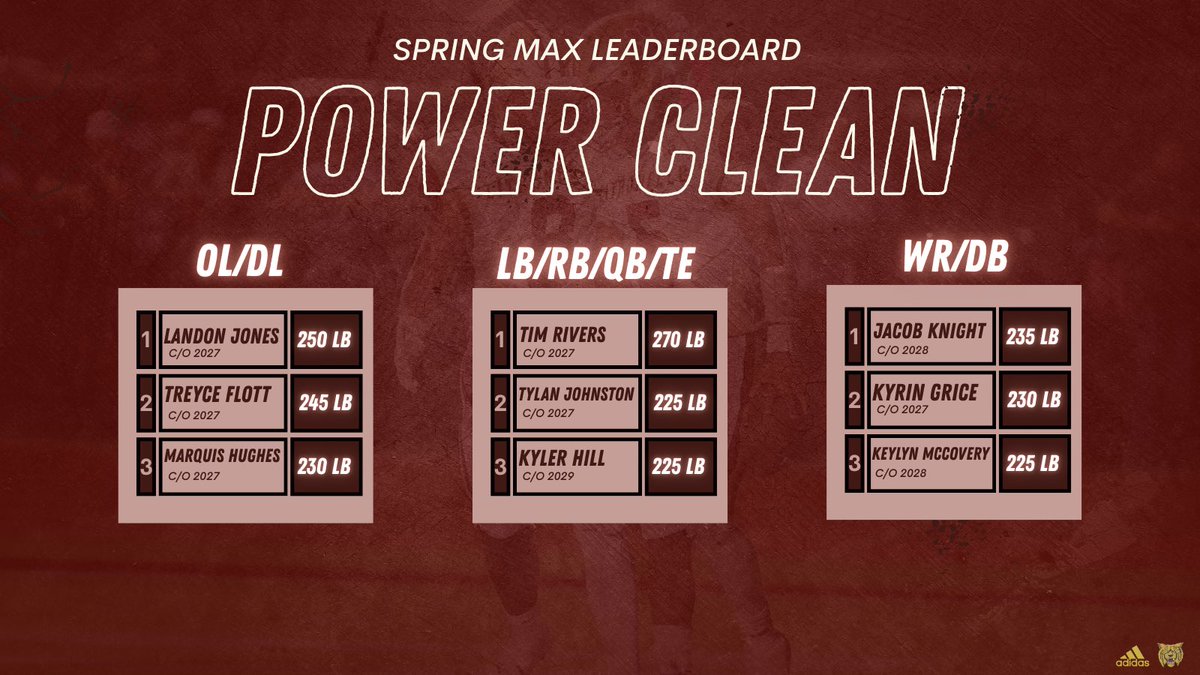 Citronelle Wildcat Football tweet media