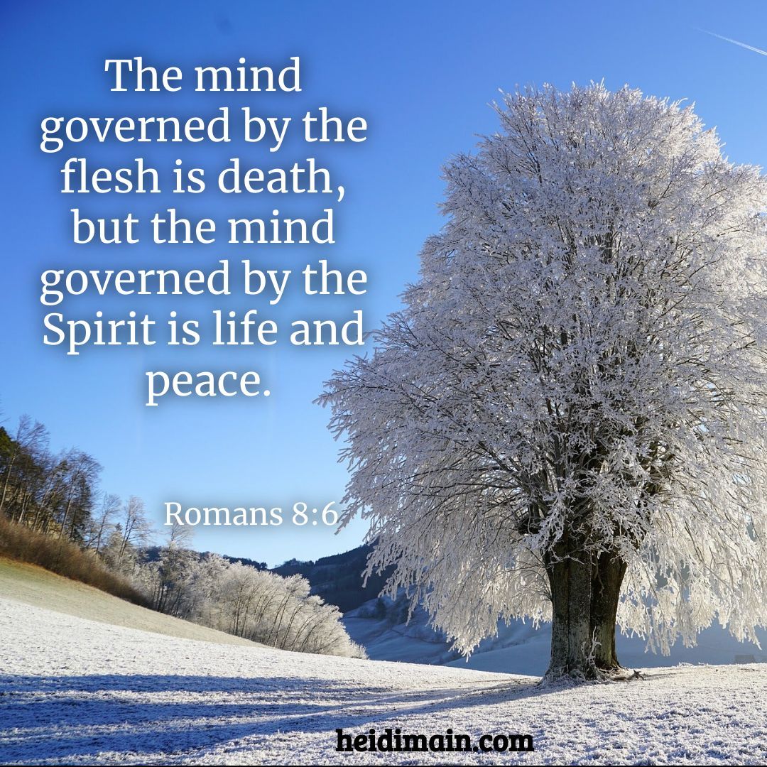 Heidi Main tweet media