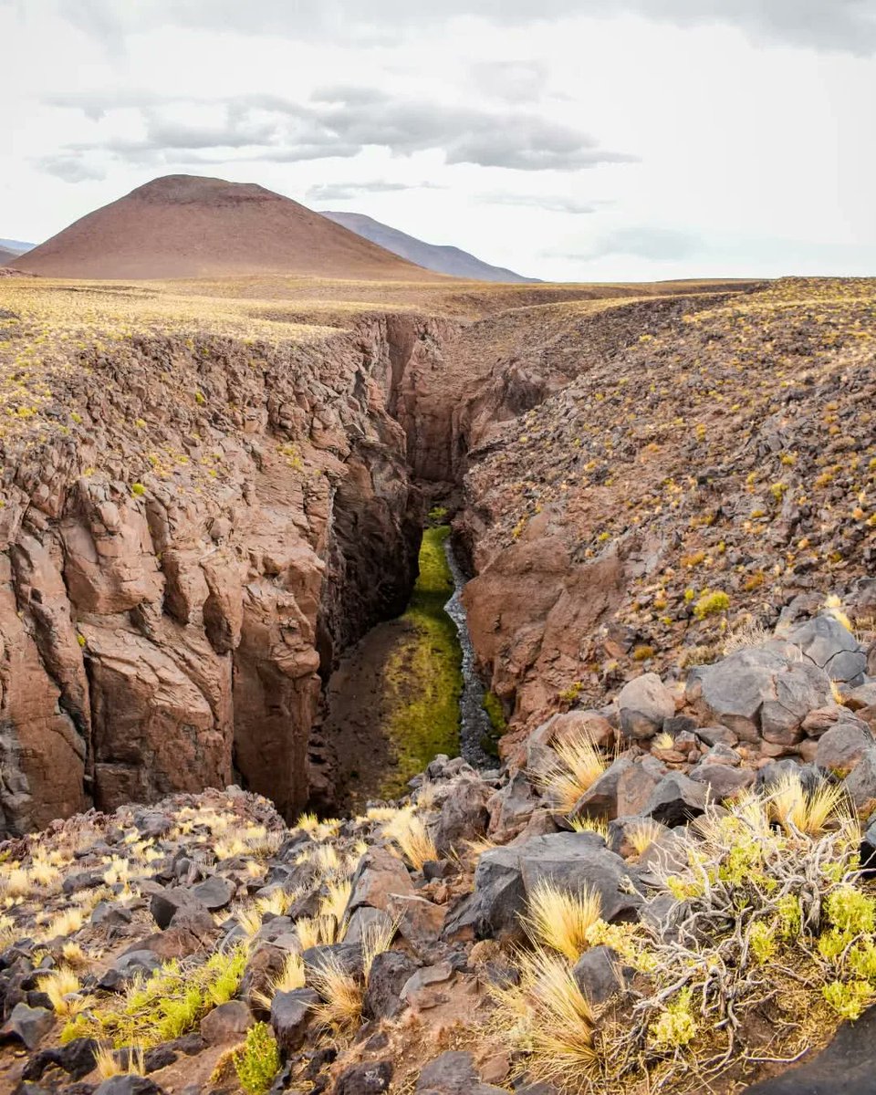 Visit Catamarca tweet media