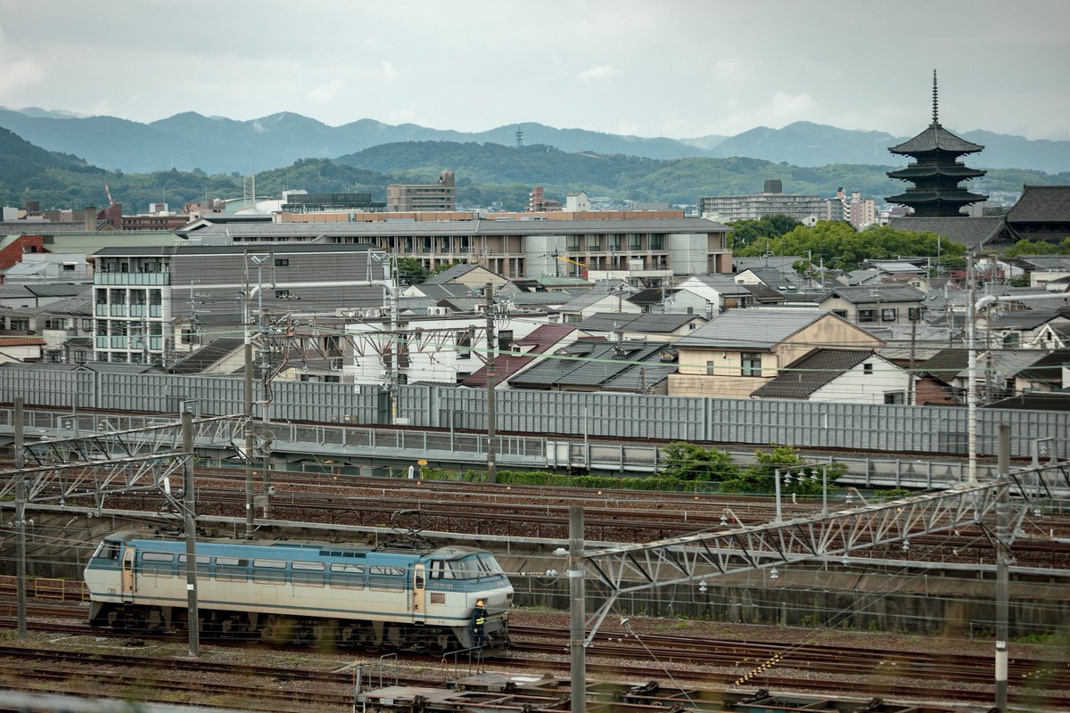 のっぽ tweet media