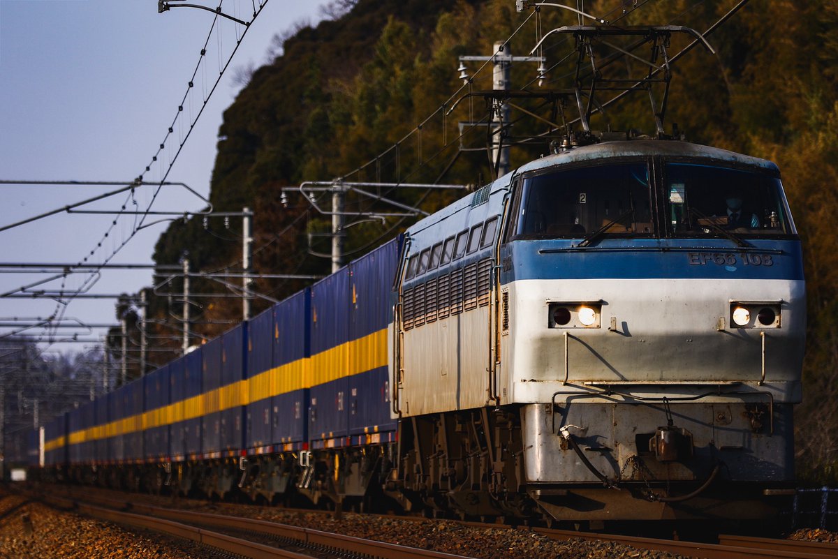 のっぽ tweet media