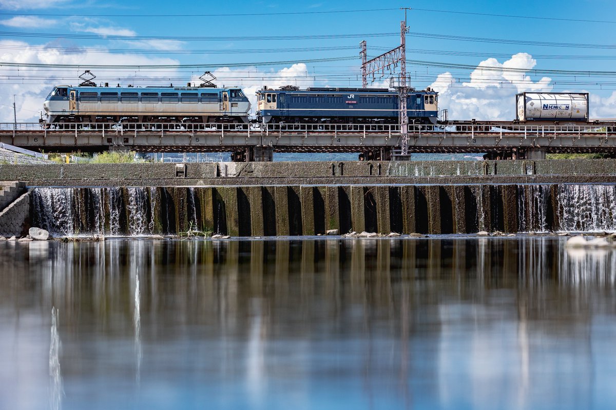 のっぽ tweet media