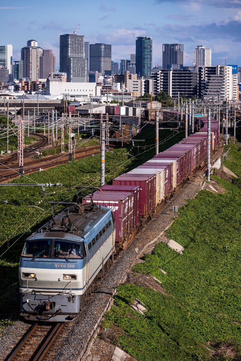 のっぽ tweet media