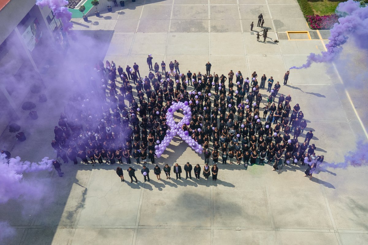 SEGE SLP tweet media