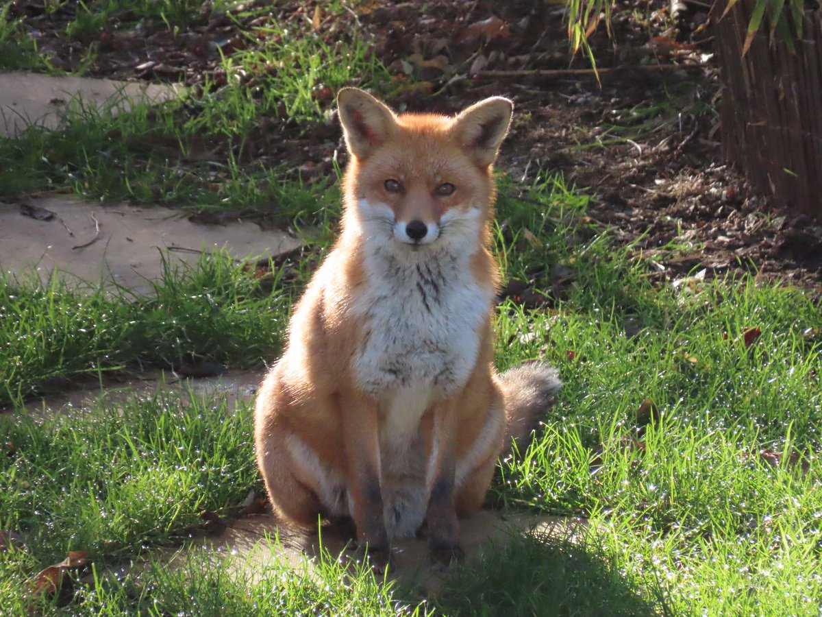 Urbanponds101 tweet media