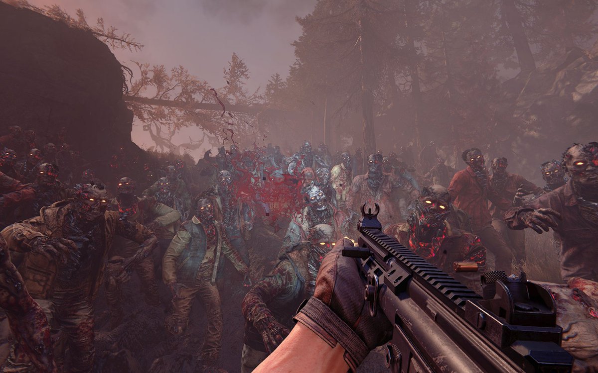 Focus Entertainment tweet media