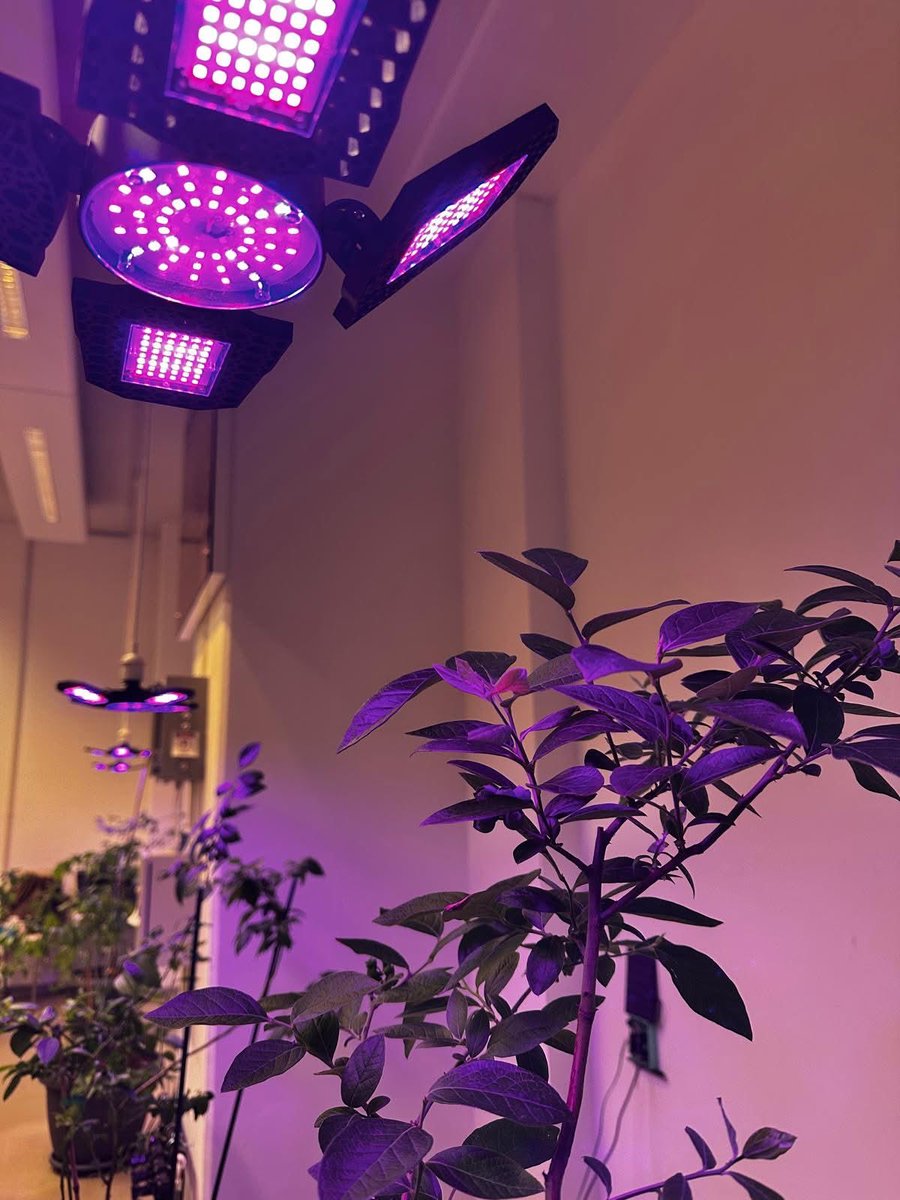 CAMPUSResearchInstitute tweet media