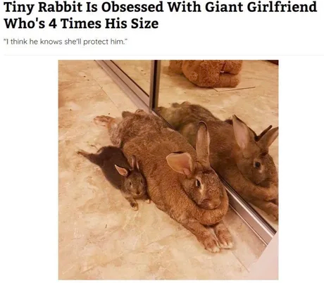 RealestMemes tweet media