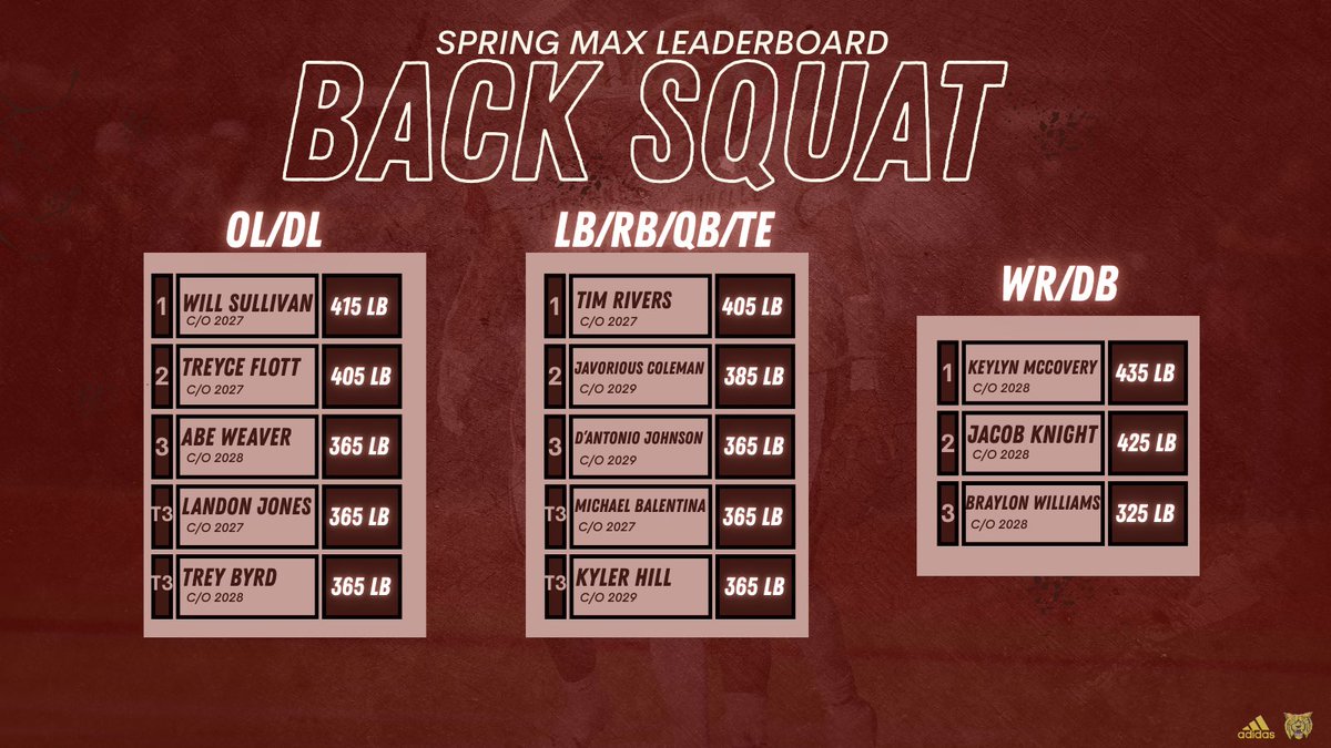 Citronelle Wildcat Football tweet media