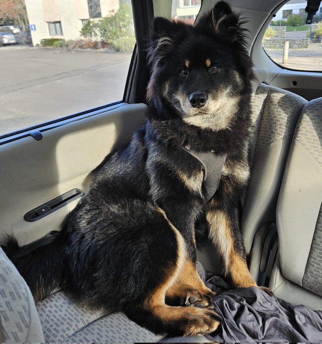 Redemption tweet media