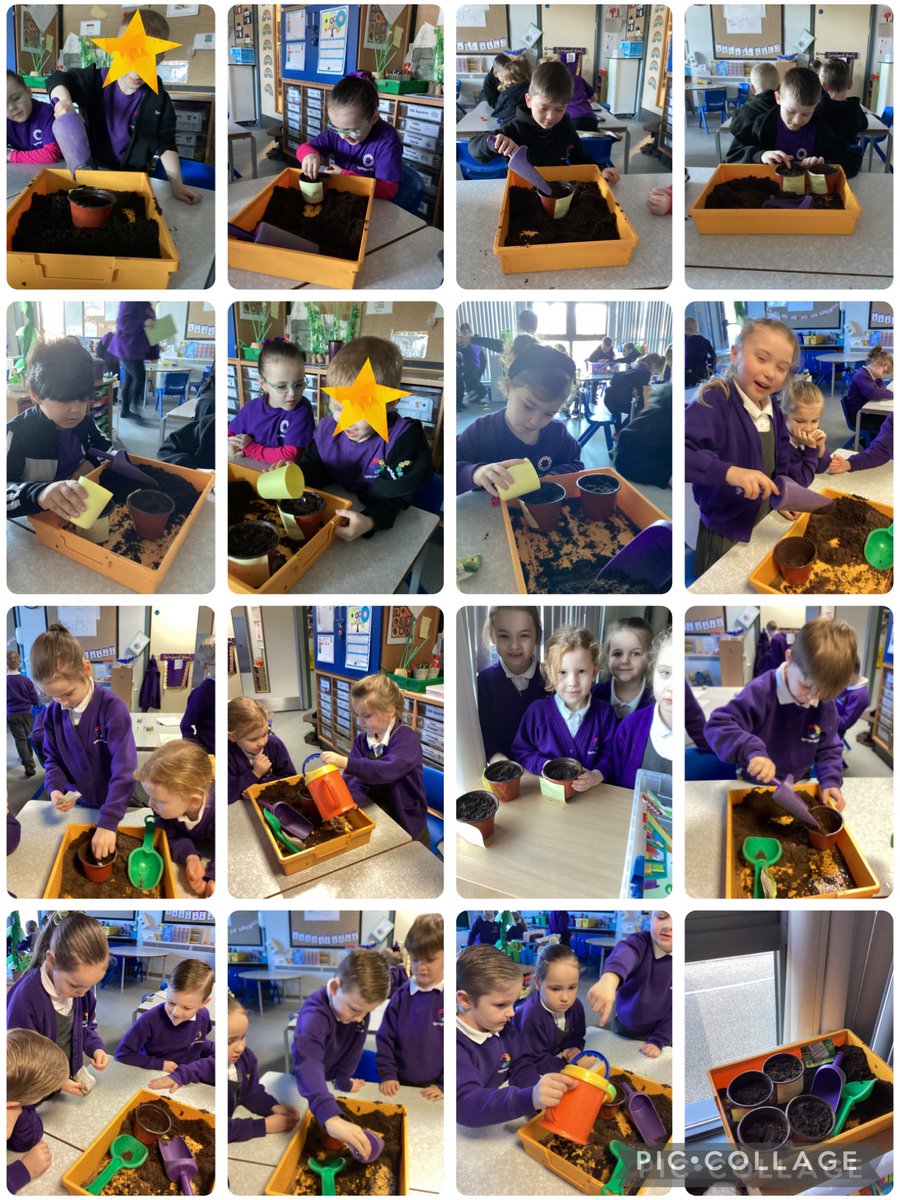 Year 1 🧡 tweet media