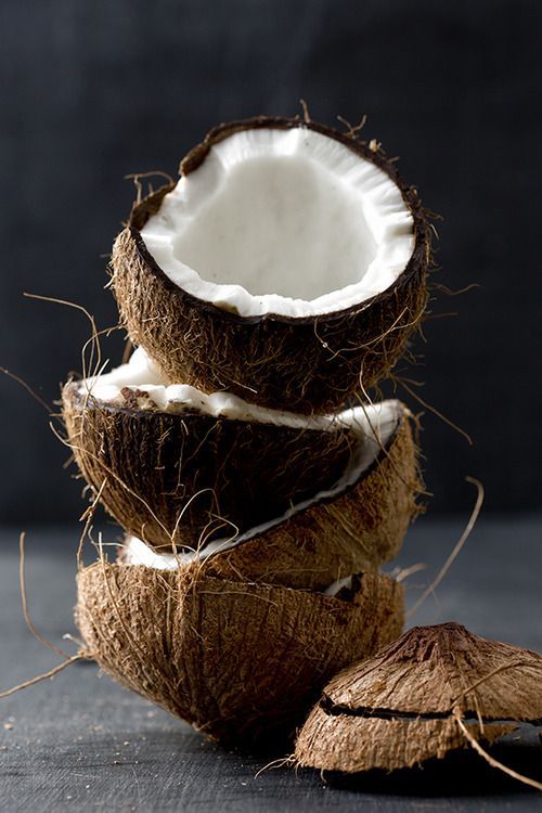 This isn’t just a fruit, it’s a little survival kit that nature hid in a very tough shell.

So the next time you see one, remember: there’s more to this tropical powerhouse than meets the eye.

Let's explore it together:

• Coconuts grow on the tree Cocos nucifera, one of the