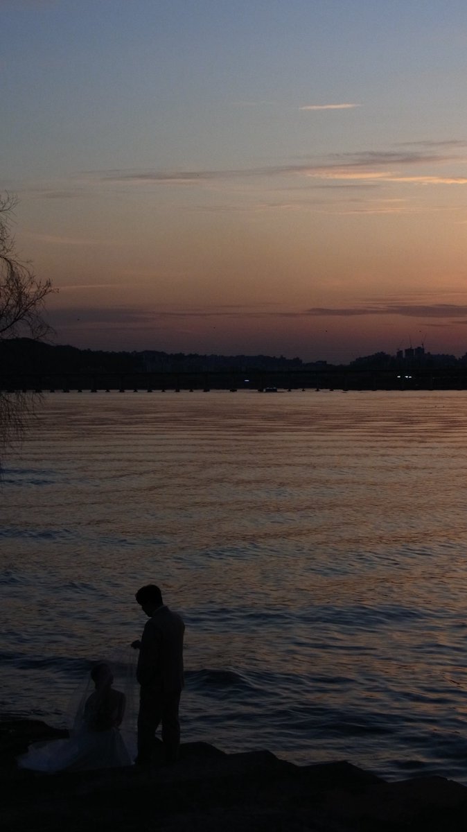 새파란 tweet media