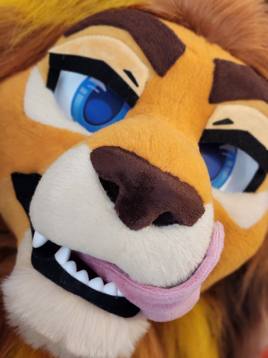 🌿 WILDS 🌿 tweet media