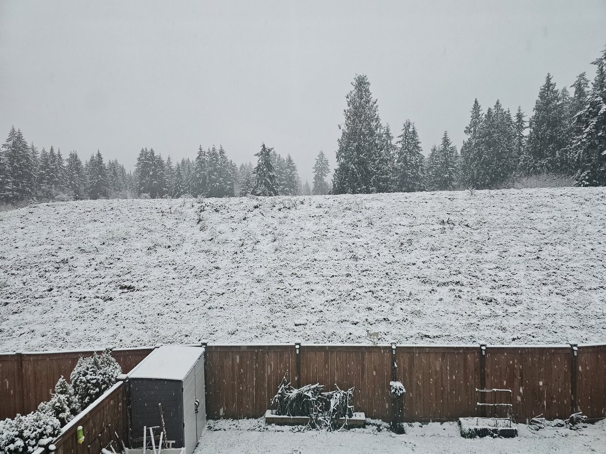 Bryce 🍕 ⛳ ⛈ tweet media