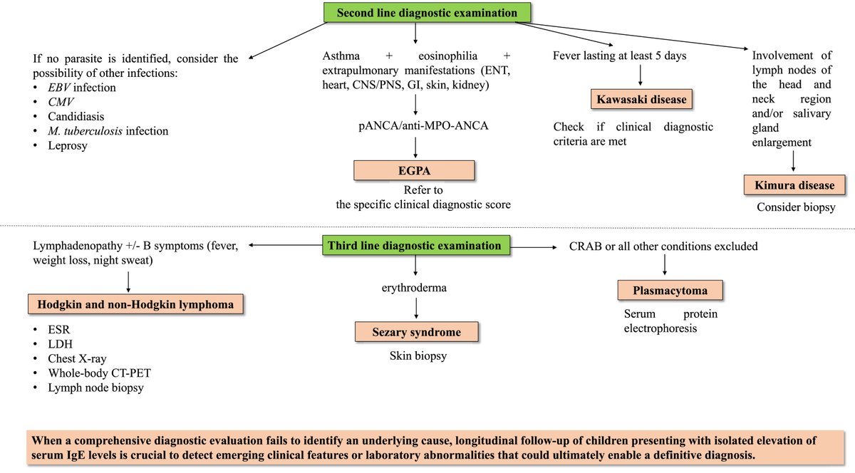 worldallergy's tweet photo. #WAOJournal: #Non-#syndromic #hyper-#IgE in children: A practical approach. Open Access. https://t.co/AdDEGtSmGk https://t.co/jCwUTwmZgH