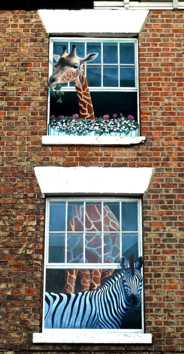 helen warlow tweet media